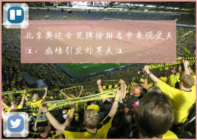北京奥运会奖牌榜排名中表现受关注，成绩引发外界关注
