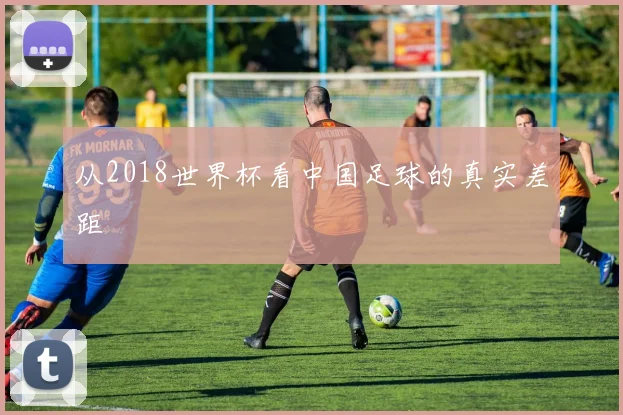 从2018世界杯看中国足球的真实差距